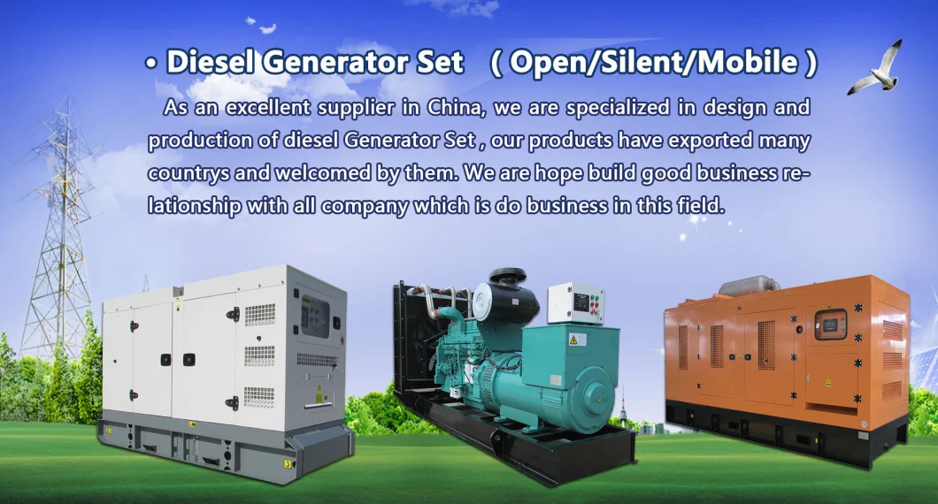 Silent 3 Phase 10kVA 15kVA 100kw 400kw 500kw kVA Turbine Nature Gas Biogas Generator Diesel Generator